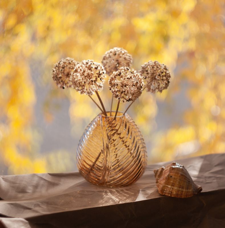 Ноябрь за окномphoto preview