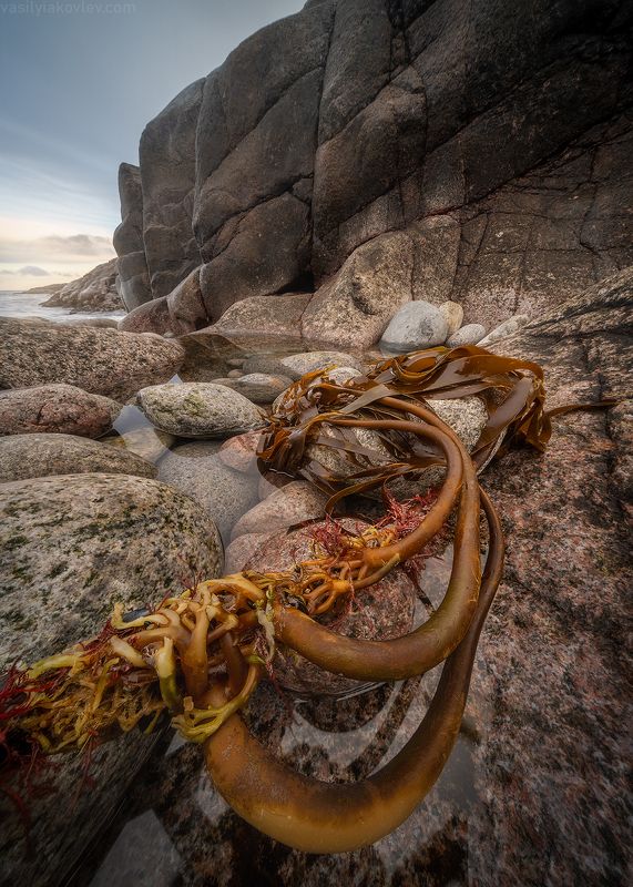 кольский, фототур, яковлевфототур, кандалакша, волосяная, териберка, мурманск, северноесияние, сияние На берегу Баренцева моряphoto preview