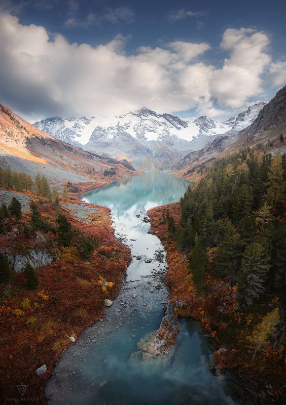 Поперечноеphoto preview