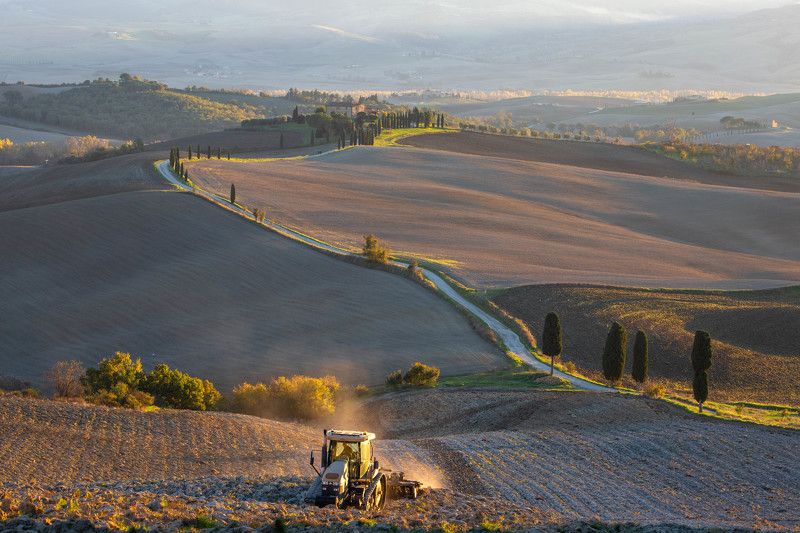 Осенняя страдаphoto preview