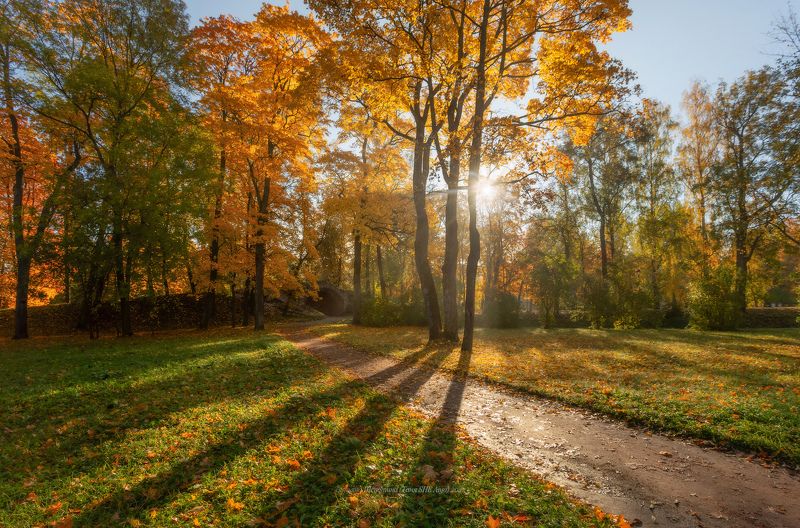 питер, пушкин, царское село, царское,  landscape, tsarskoye selo, autumn,  городской пейзаж, санкт-петербург, рассвет, александровский парк Осенний светphoto preview