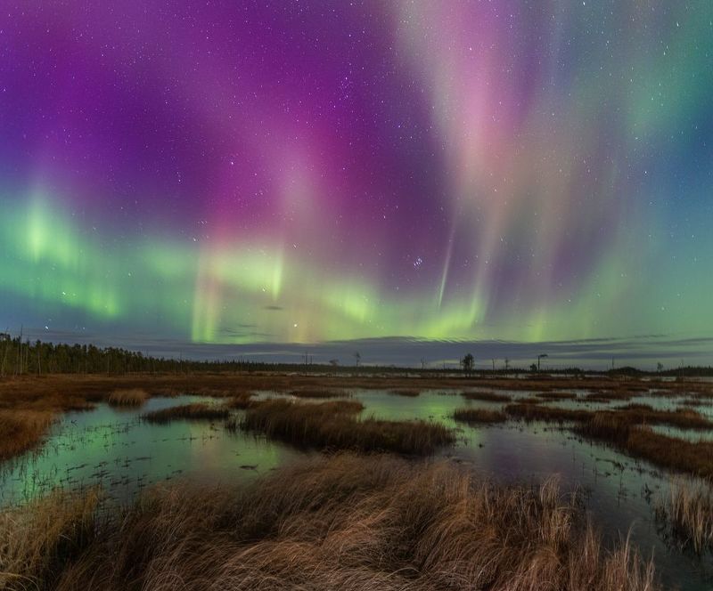 аврора, сияние, болото, север, карелия Кемские болота фото превью