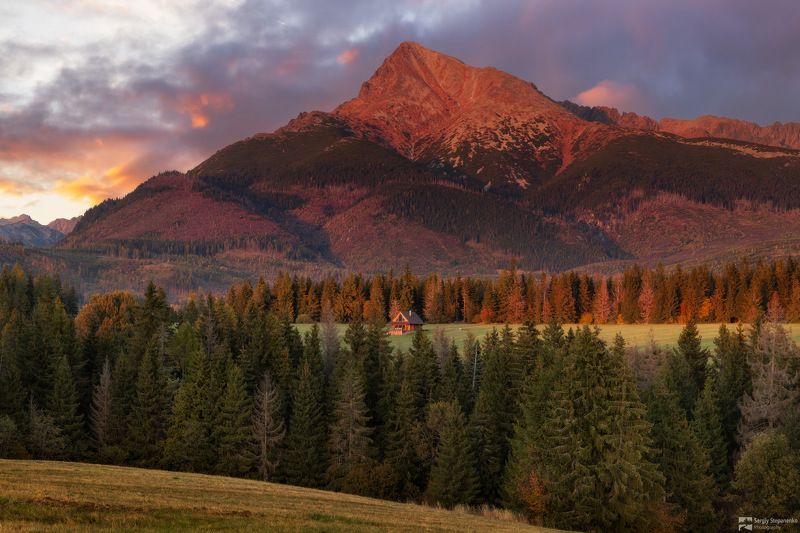 Barbecue at Country Housephoto preview