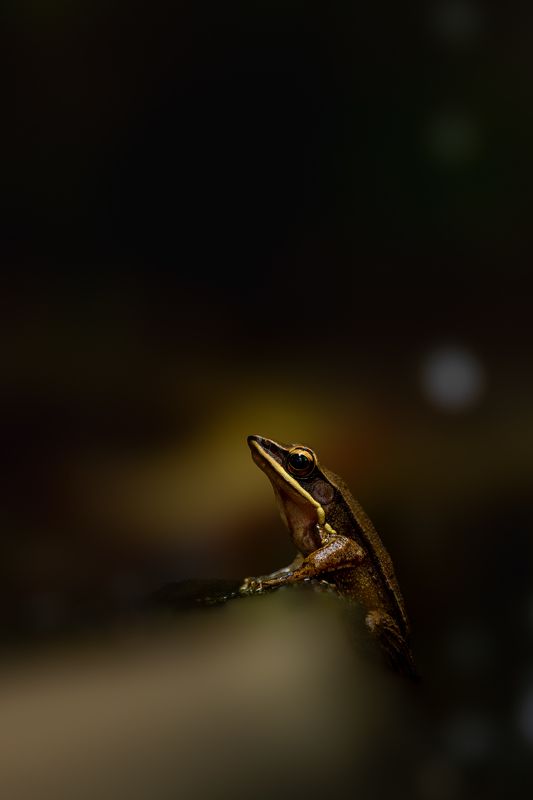 Holding Onphoto preview