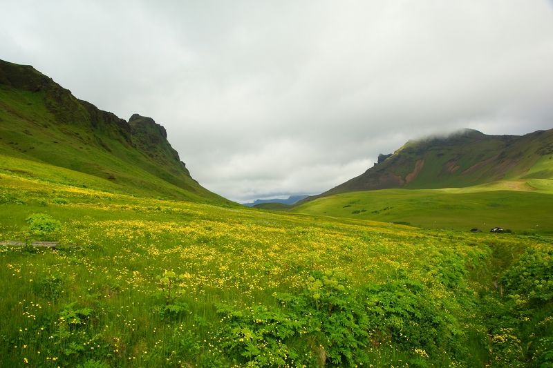 The Green Oceanphoto preview