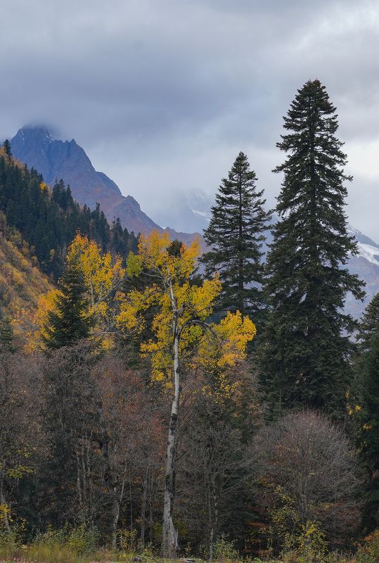 осень, горы, домбай Домбайский вальсphoto preview