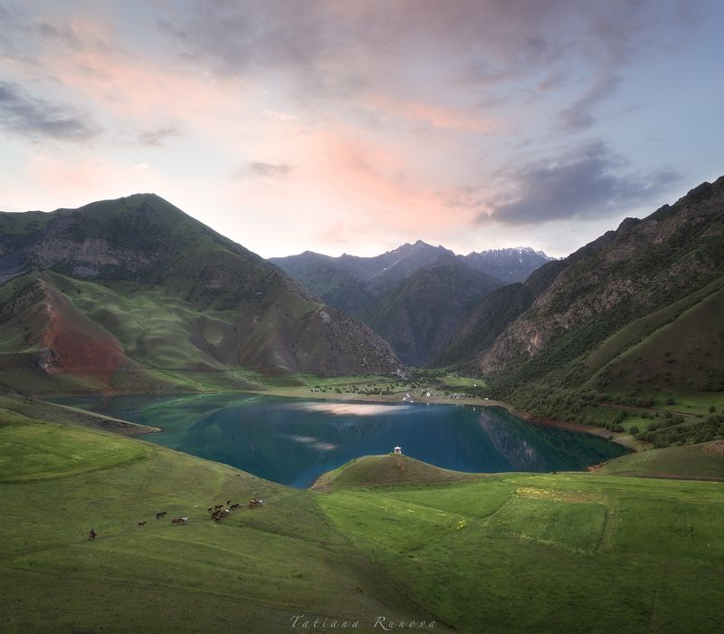 Раннее утро, пастух гонит табун лошадей... вода в озере ка зеркало, красивого синего цвета... стою на холме и жду восхода солнца...photo preview