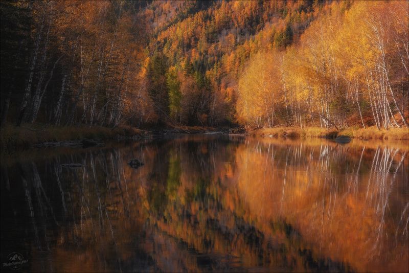 алтай, горный алтай, осень, усть-кан, фототур на алтай, осенний фототур на алтай, phototravel.pro,  Отражение осени ..photo preview