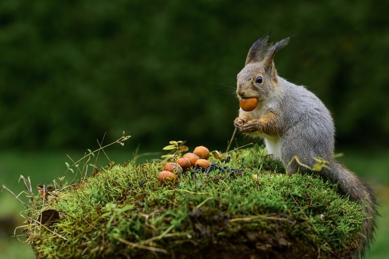 это все мне? photo preview