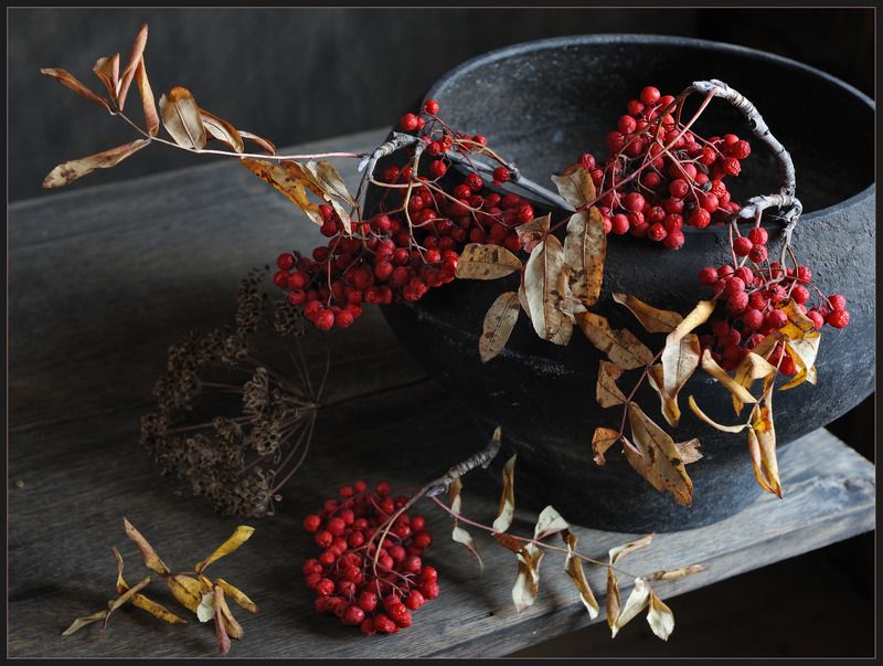 Рябиновая грустьphoto preview