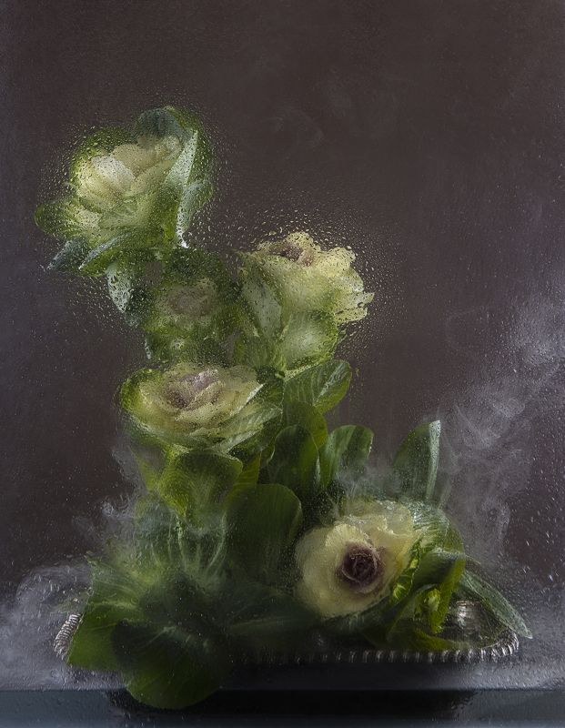 Капуста на блюдеphoto preview