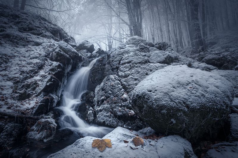 landscape nature scenery forest wood autumn rime mist misty fog foggy river longexposure mountain rocks vitosha bulgaria туман лес oсень Frosty autumnphoto preview