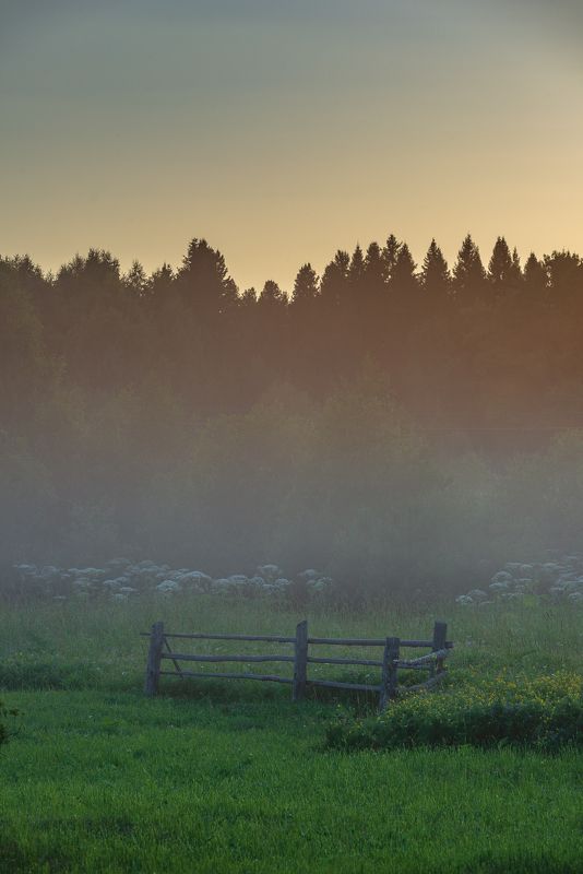Утренний туман. фото превью