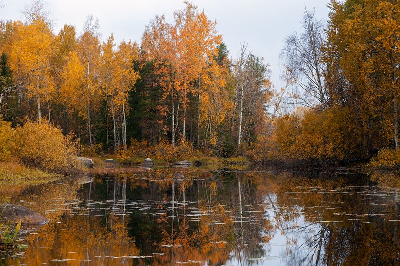 autumn, russia, vuoksi, landscape Vuoksiphoto preview
