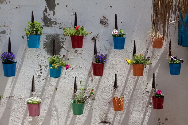 Краскиphoto preview