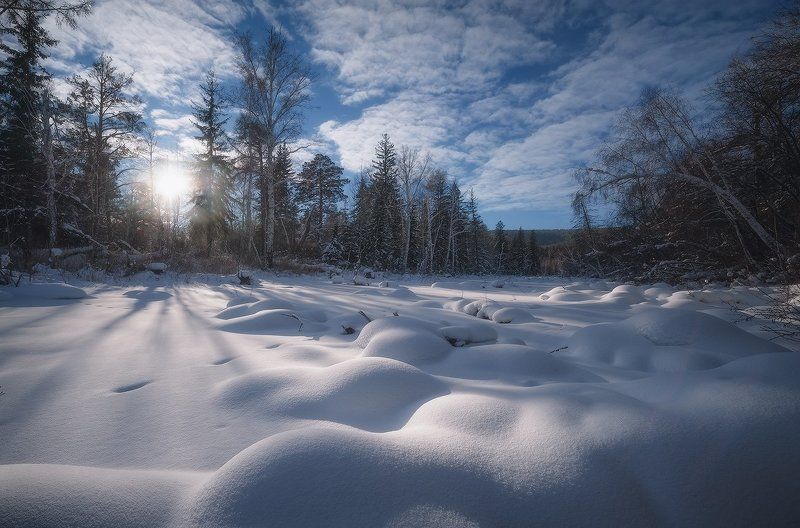 Солнечным январским днём…photo preview