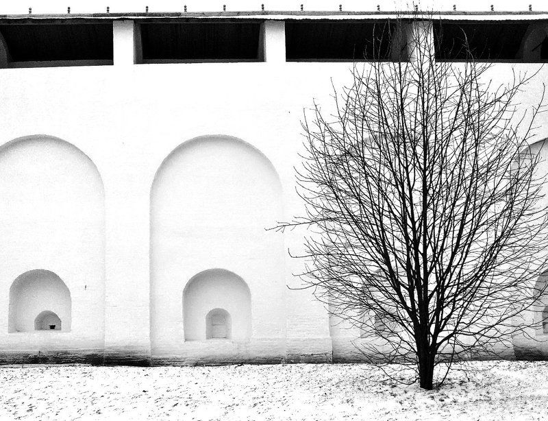 untitledphoto preview