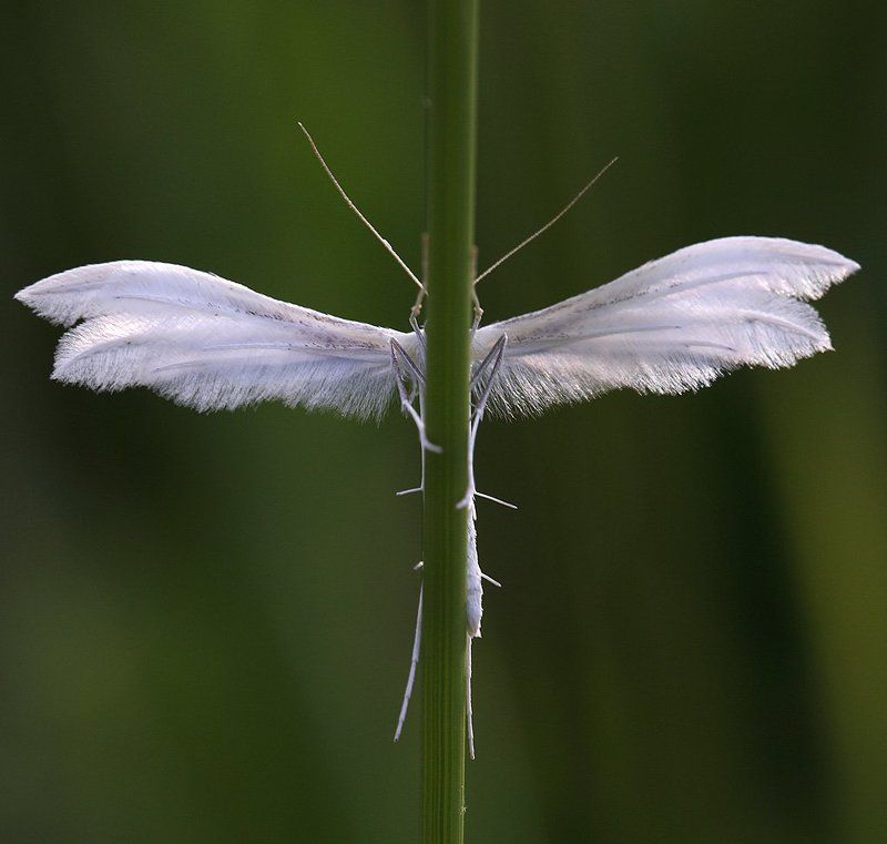 Спряталасьphoto preview