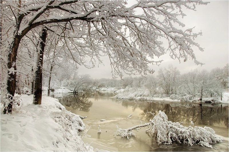 В краю снегов и туманов..photo preview