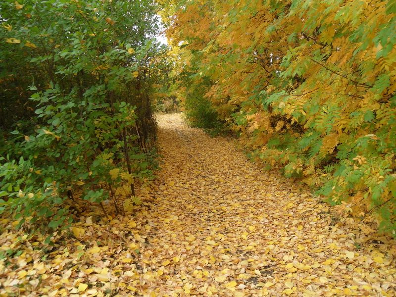 Svetlana), Russia
