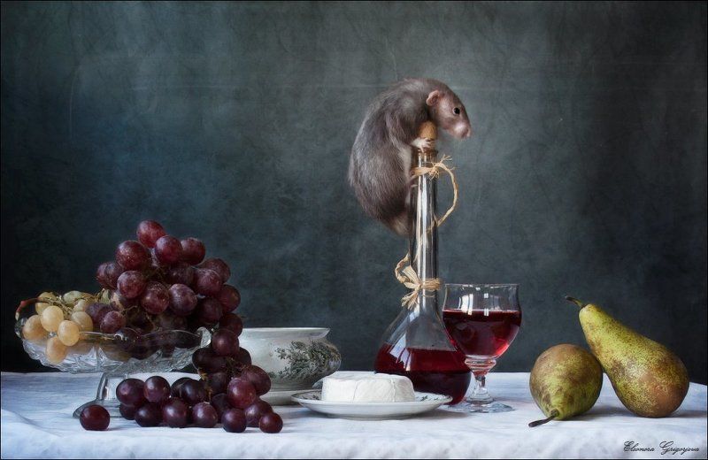вино, виноград, дамбо, крыса, лук, сыр, тыква Крысиные истории (продолжение)photo preview