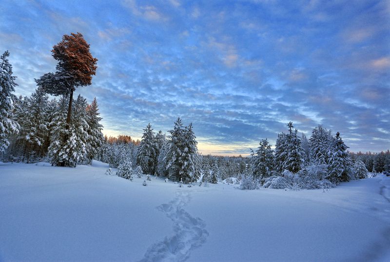 Закат, Небо, Север, Снег На закатеphoto preview