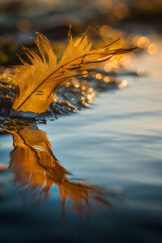 Bright momentsphoto preview