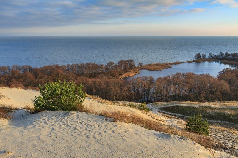 Балтика, закат, Куршская коса, дюны, песок, солнце, Лебедь, озеро, залив, парк Один ноябрьский вечер на Косеphoto preview