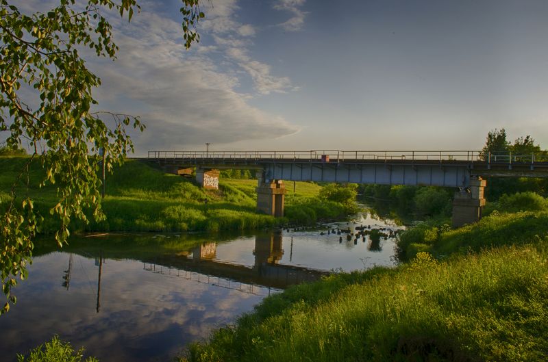река,лето,зелень река омутнаяphoto preview