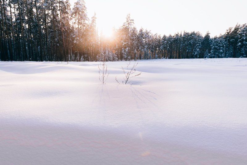 Закат в зимнем лесуphoto preview