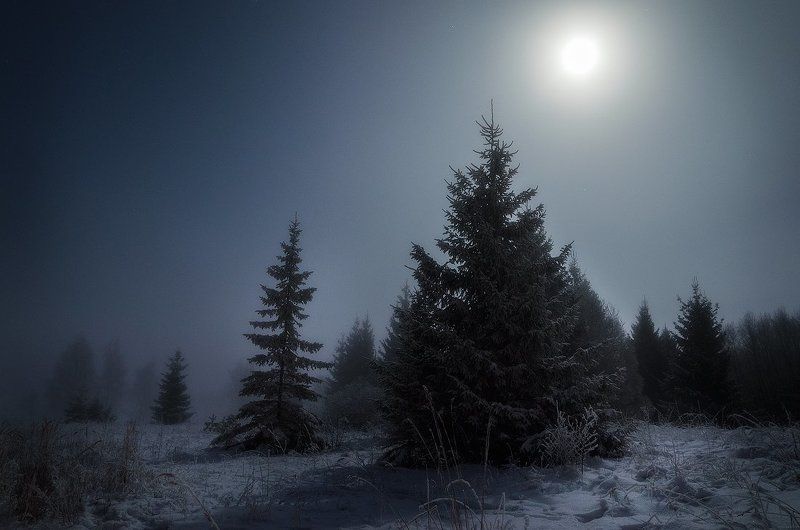 Fullmoon, Mist, Trees, Winter Fullmoon hipnosisphoto preview