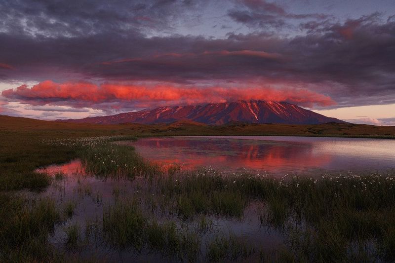 Толбачик фото превью
