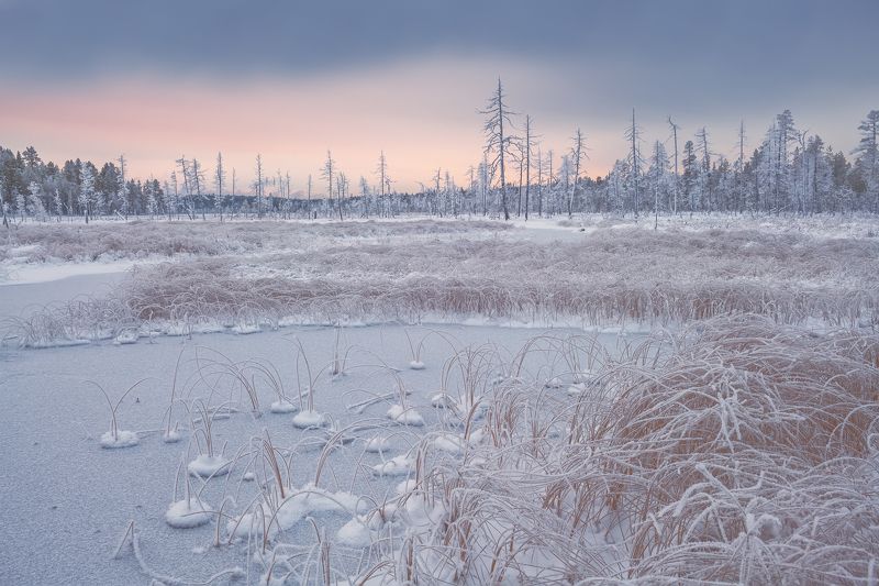 Седое болотце...photo preview