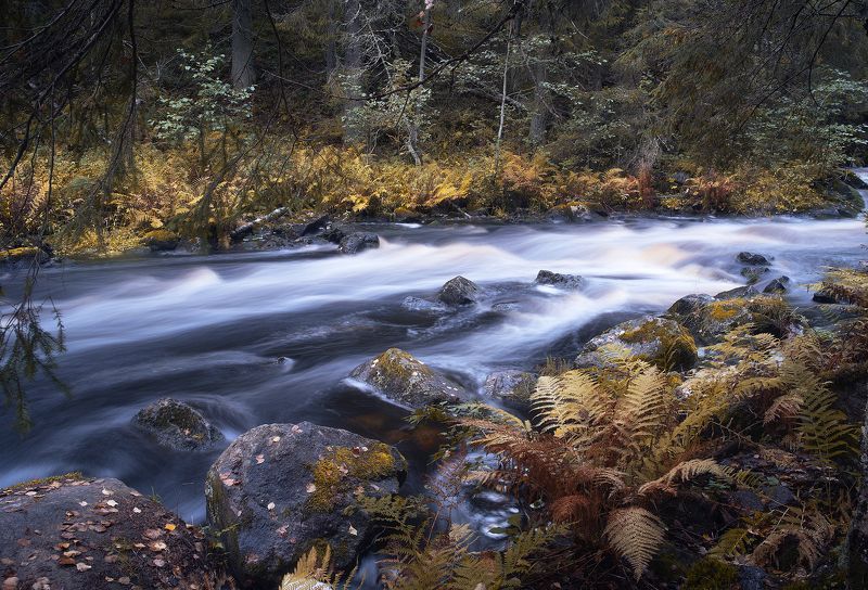 Реки Карелииphoto preview