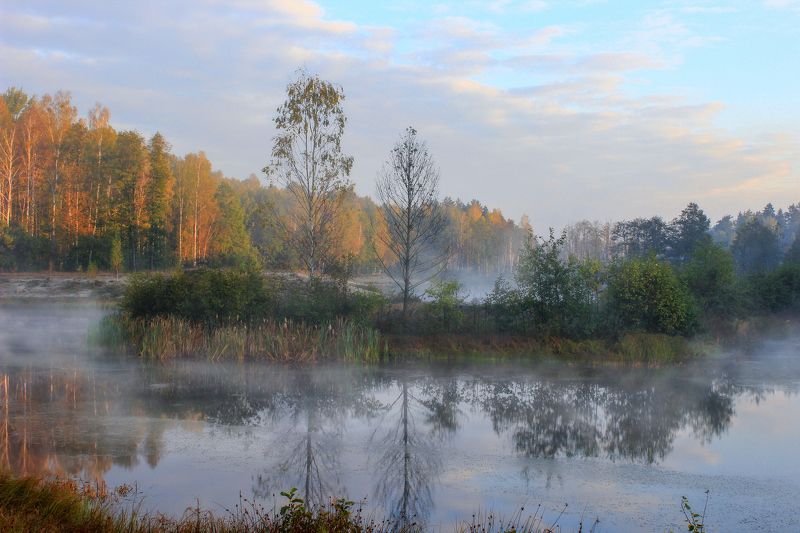 Осеннее утро в Беловежской пущеphoto preview