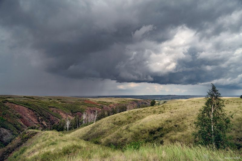 природа, оренбургская область, лето ***photo preview