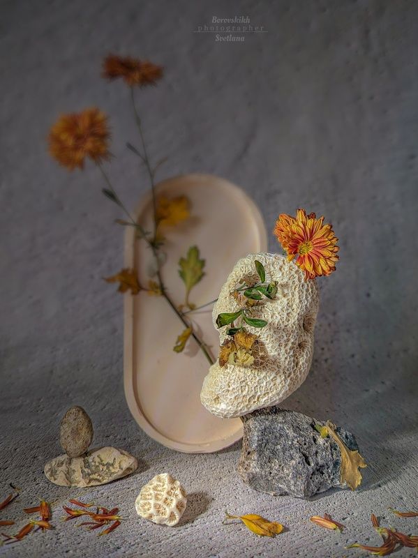 натюрморт, art_photo, полиэтилен,  цветы, фрикебана, freakebana, stil_life, c art_photo, фото у окна, фото на телефон Моя осень фото превью