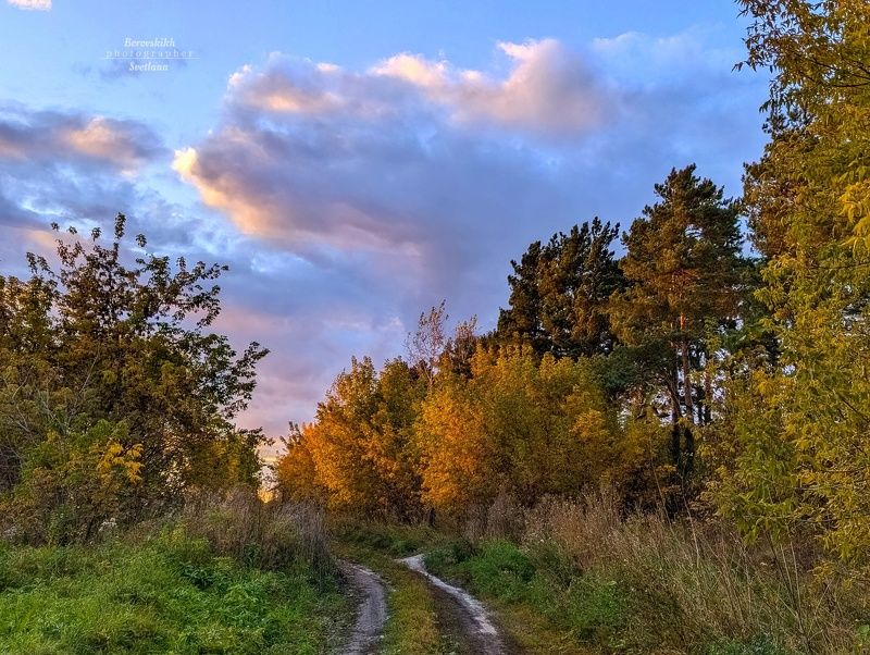 природа, nature, осень, краски_осени, мойкрай, #моя_сибирь, фото на телефон Краски осениphoto preview