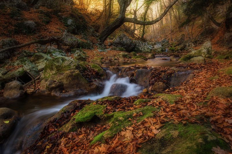 Крым, Пейзаж, Большой каньон,  Маленькая но гордая рекаphoto preview