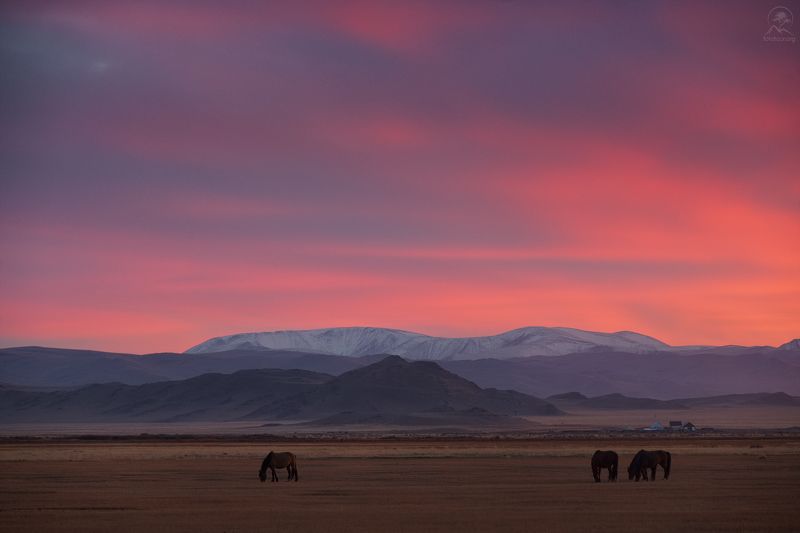 алтай, фототур по алтаю, осень, горы, горный алтай, республика алтай, кош-агач ВЕЧЕР В СТЕПИphoto preview