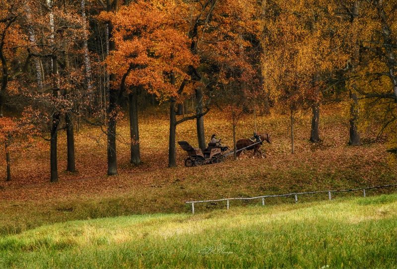 Осенняя пора фото превью
