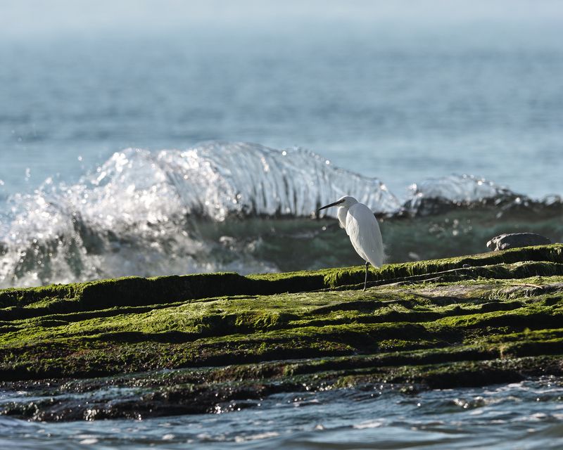 Dalaman (Turkey) фото превью