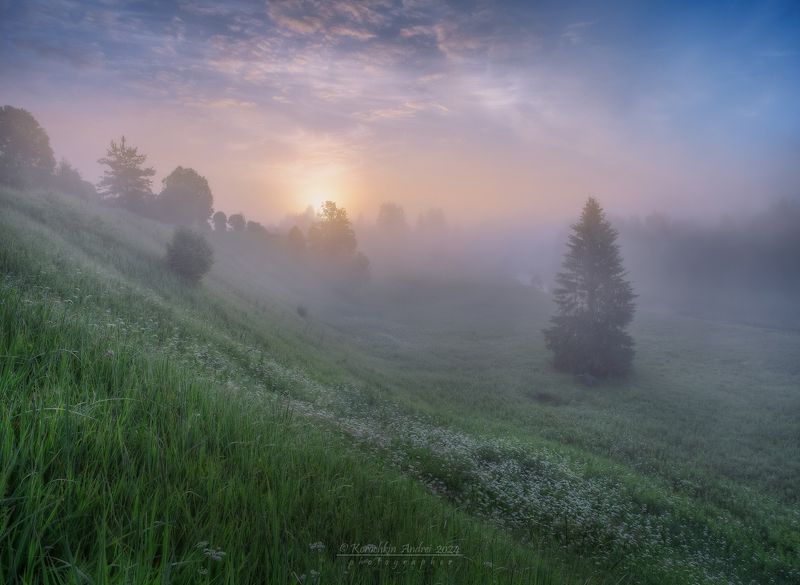 ... летние похождения ...photo preview