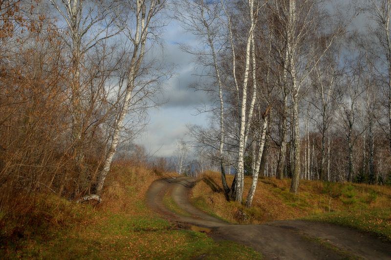 осенней дорогойphoto preview