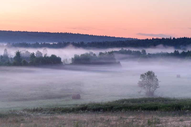 Калужские туманыphoto preview