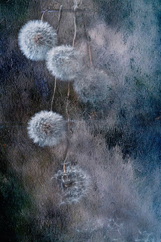 abstract Абстракция с одуванчиками.... фото превью