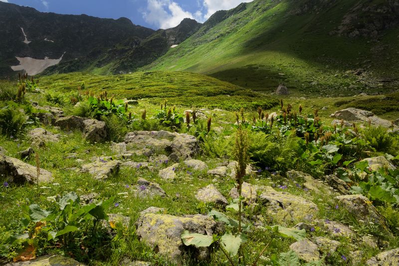 Кавказ.photo preview