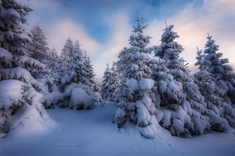 уван, горы, зима, снег, вечер, закат Сумеркиphoto preview