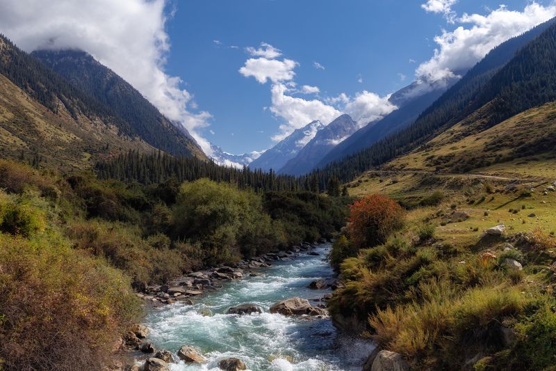 р.Барскоонphoto preview