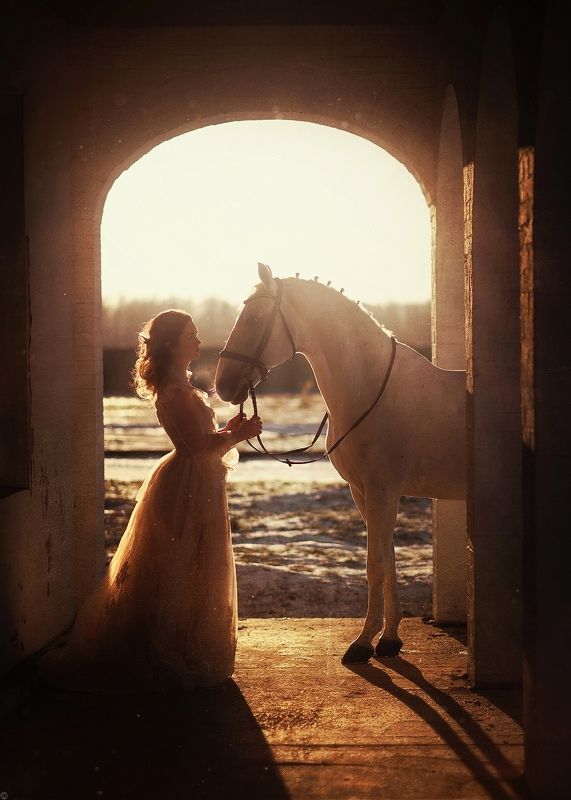 закат, солнце, архитектура, лошади, конная фотография, портрет, платье photo preview